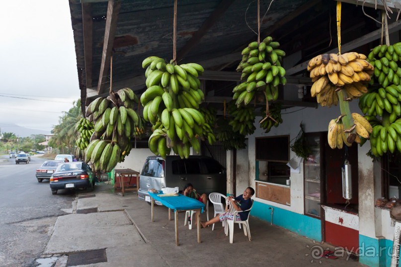 Pohnpei, Micronesia (1/2)