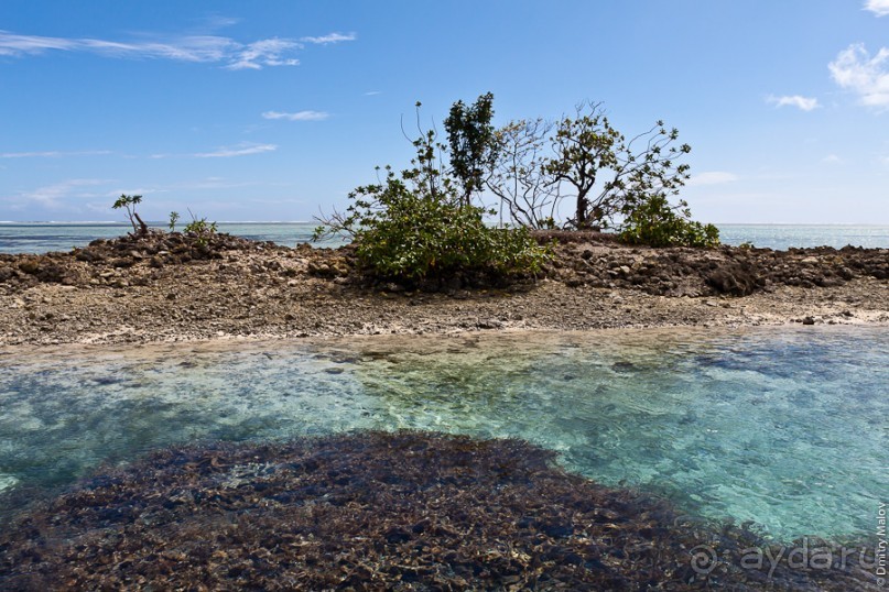 Pohnpei, Micronesia (1/2)