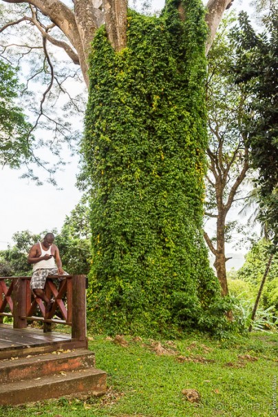 Сент-Винсент (2/2)