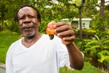 Сент-Винсент (2/2)