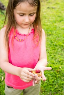 Сент-Винсент (2/2)