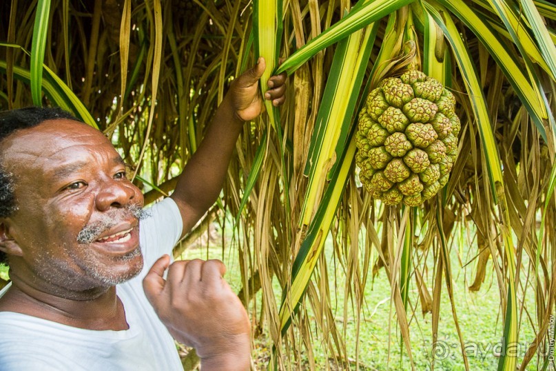 Сент-Винсент (2/2)