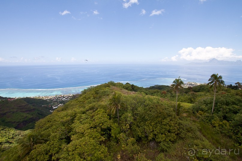 Полетать над Таити