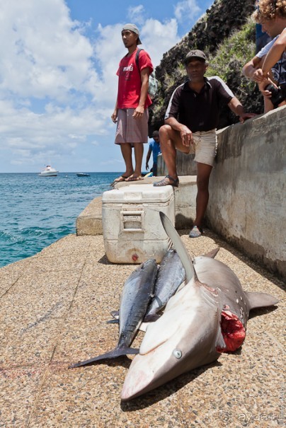 Маркизские острова (1/3)