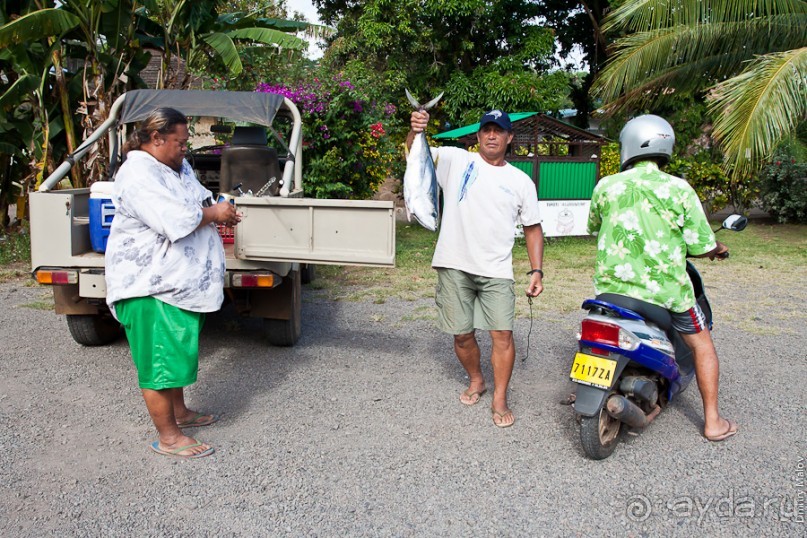 Маркизские острова (1/3)