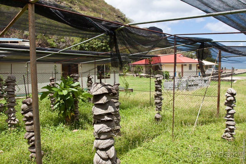 Маркизские острова (1/3)