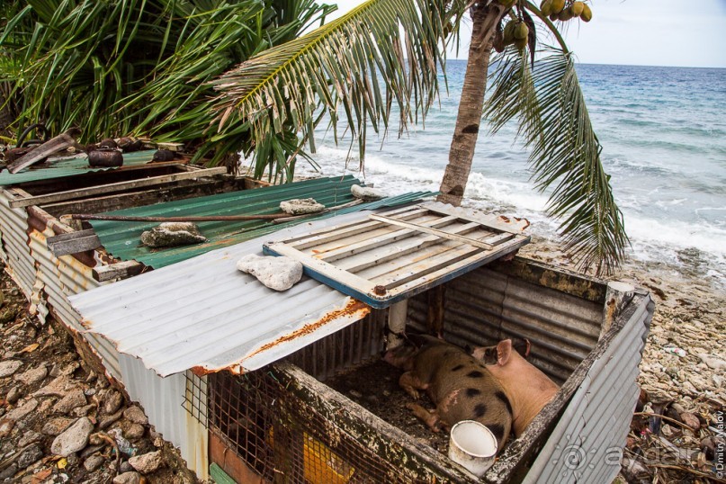 Tuvalu - Тувалу (2/2)