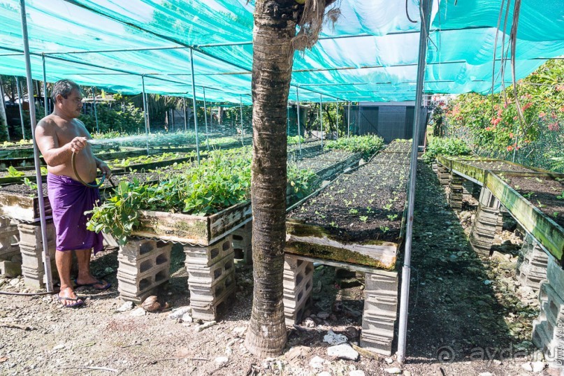 Tuvalu - Тувалу (2/2)