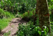 Маркизские острова (3/3): Hiva Oa, тики