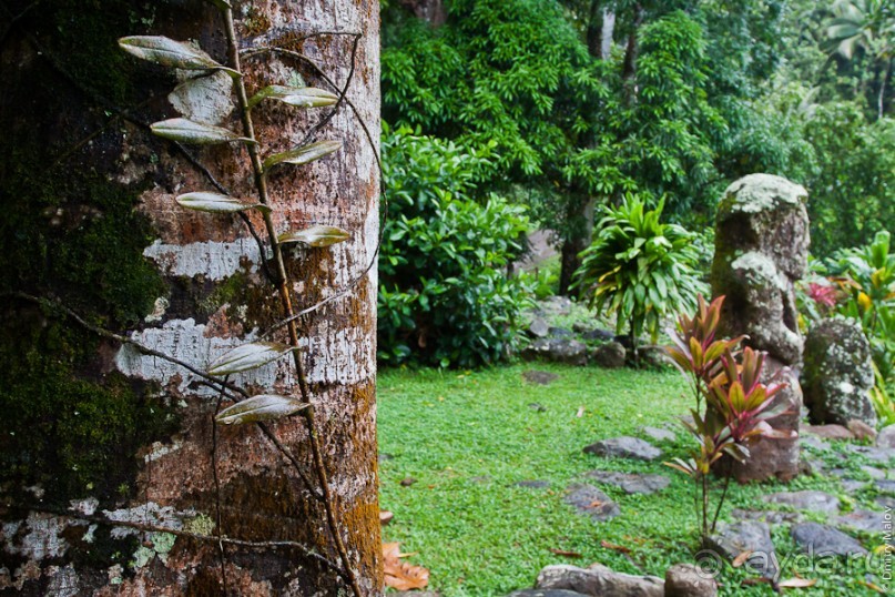 Маркизские острова (3/3): Hiva Oa, тики