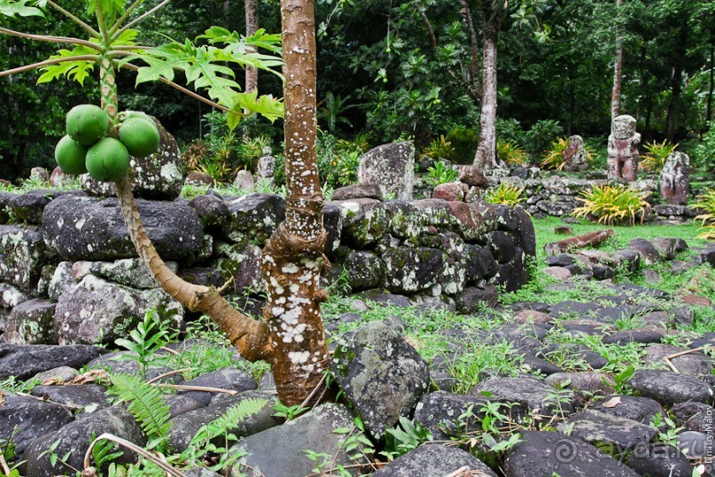 Маркизские острова (3/3): Hiva Oa, тики