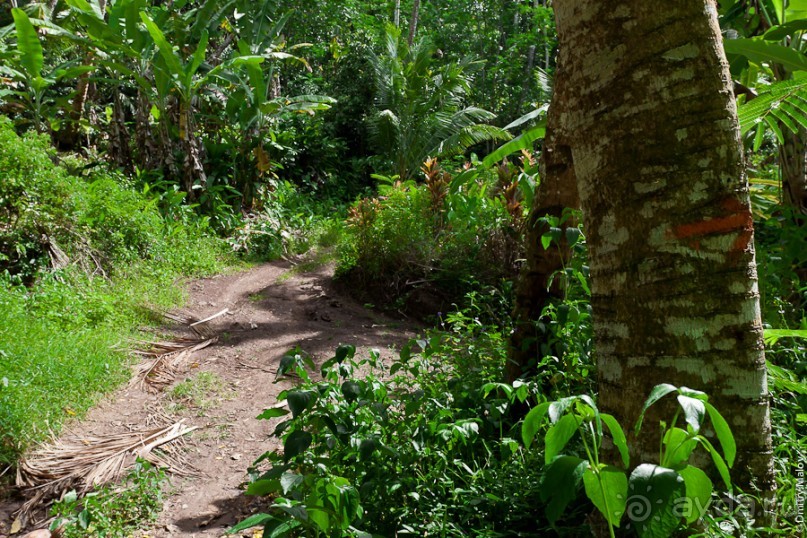 Маркизские острова (3/3): Hiva Oa, тики