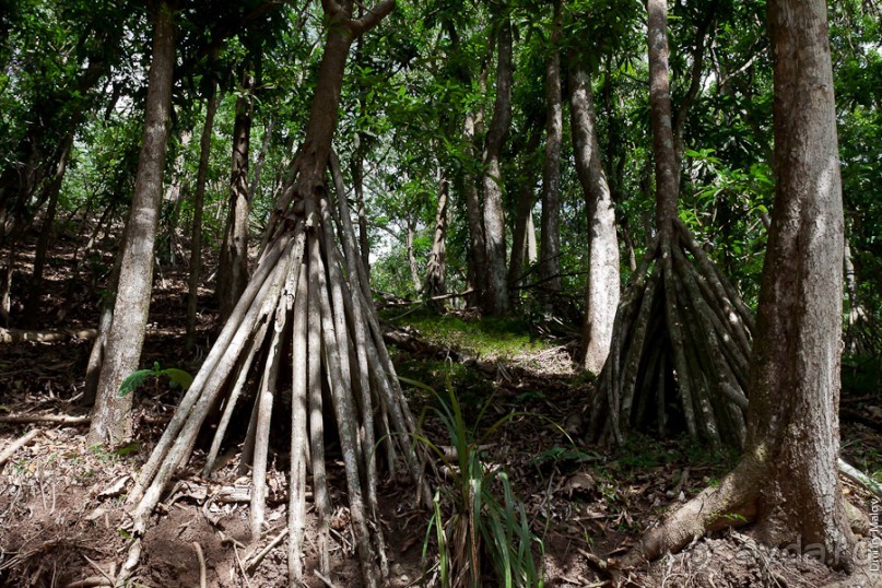 Маркизские острова (3/3): Hiva Oa, тики