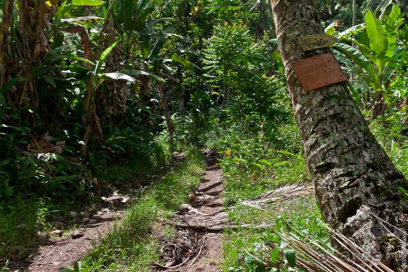 Маркизские острова (3/3): Hiva Oa, тики