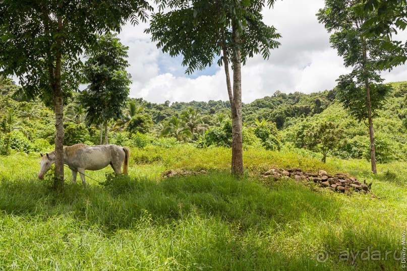 Фиджи — Вануа-Леву