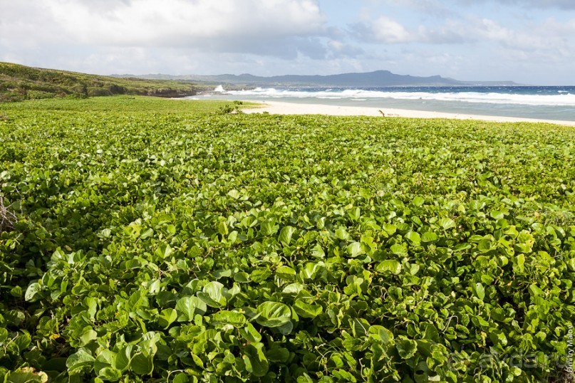 Сайпан, Северные Марианские острова
