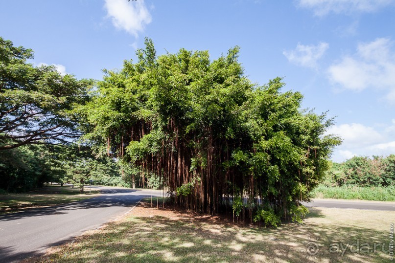 Сайпан, Северные Марианские острова