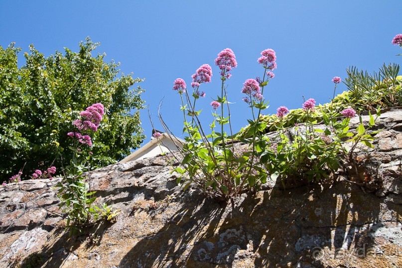 Нормандские острова