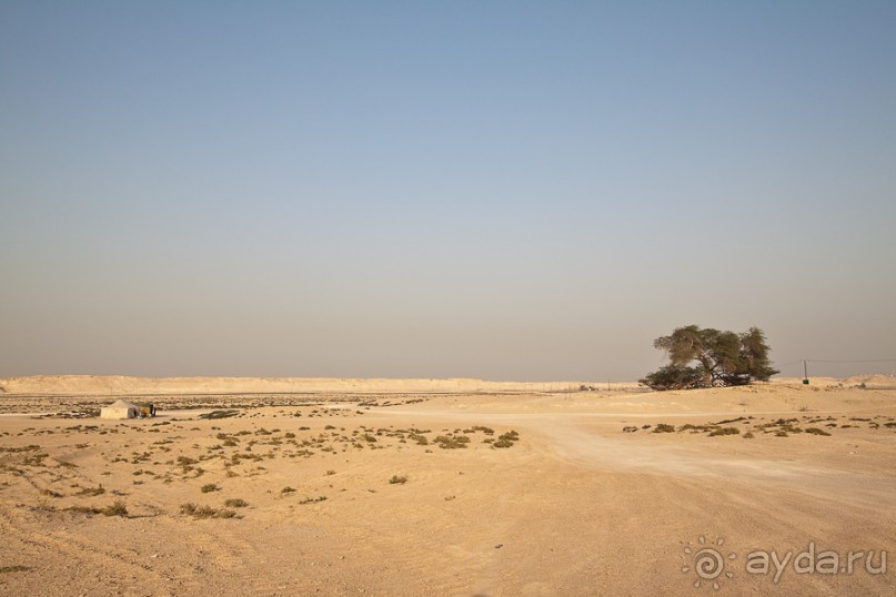 Бахрейн (2/2)