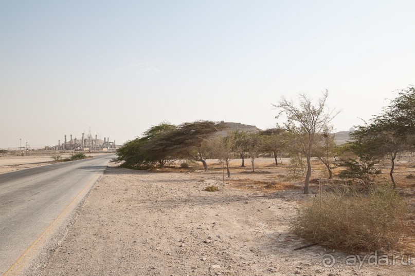 Бахрейн (2/2)