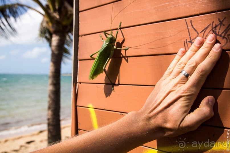 Новая Каледония (1/3) - Нумеа