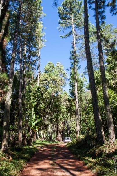 Архипелаг Гамбье. Gambier Islands, French Polynesia