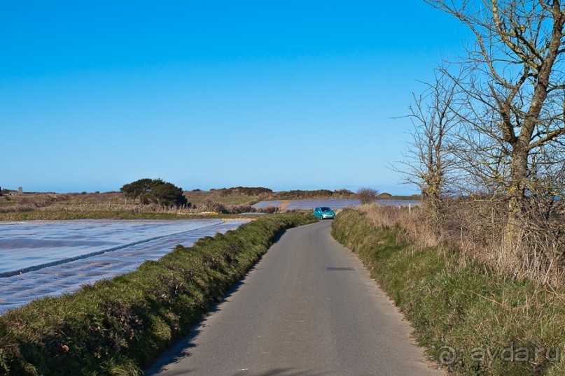 Джерси (Jersey)