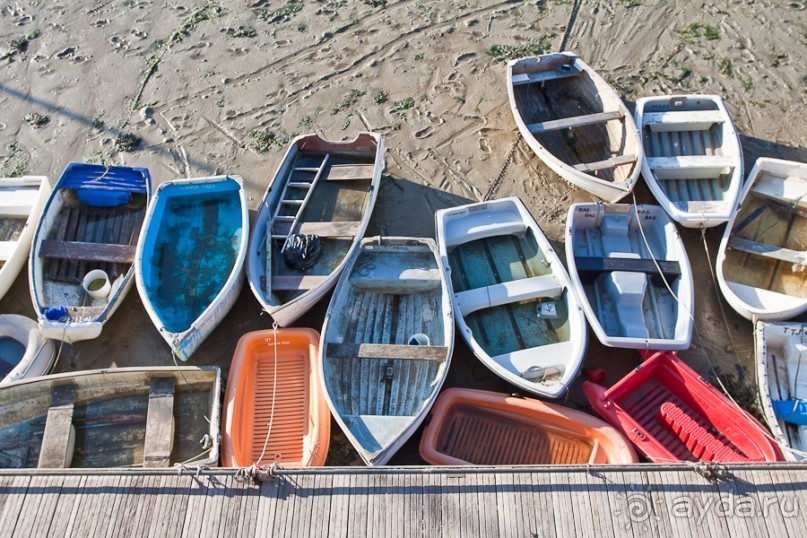 Джерси (Jersey)