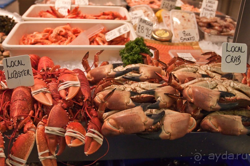 Джерси (Jersey)