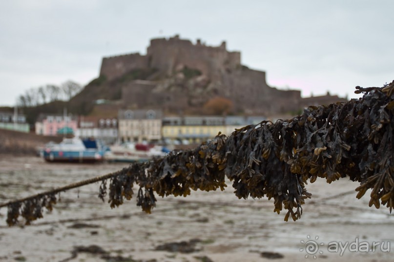 Джерси (Jersey)