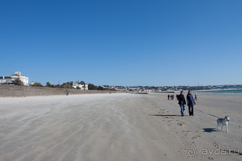 Джерси (Jersey)