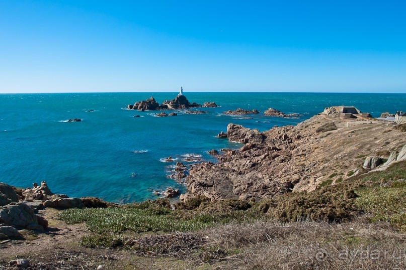 Джерси (Jersey)