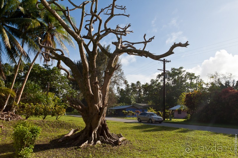 Республика Маршалловых островов, Микронезия (2/2)