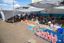 Фиджи — Сува