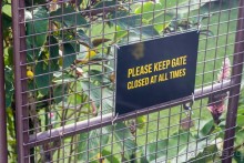 Фиджи — Сува