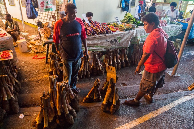 Фиджи — Сува