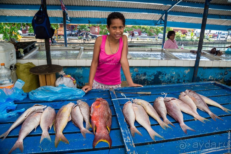 Фиджи — Сува