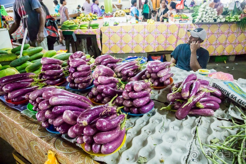 Фиджи — Сува