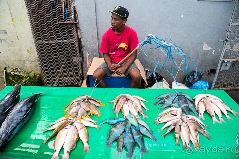 Фиджи — Сува