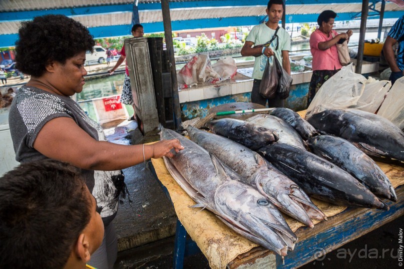 Фиджи — Сува