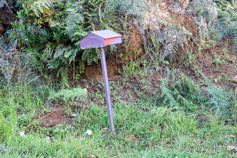 Новая Каледония (3/3) - Foa, Koné, Bourail, Île des Pins, the Far South