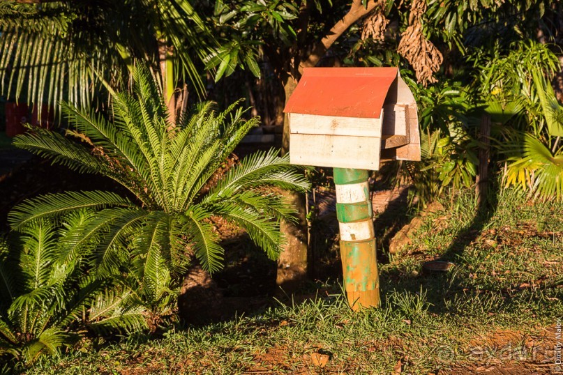 Новая Каледония (3/3) - Foa, Koné, Bourail, Île des Pins, the Far South