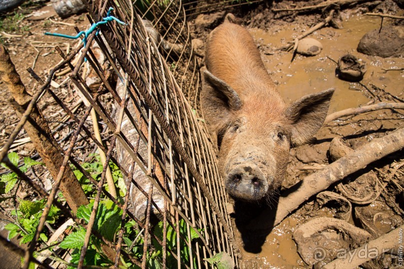 Уоллис и Футуна — Уоллис (1/2)