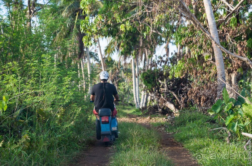 Уоллис и Футуна — Уоллис (1/2)
