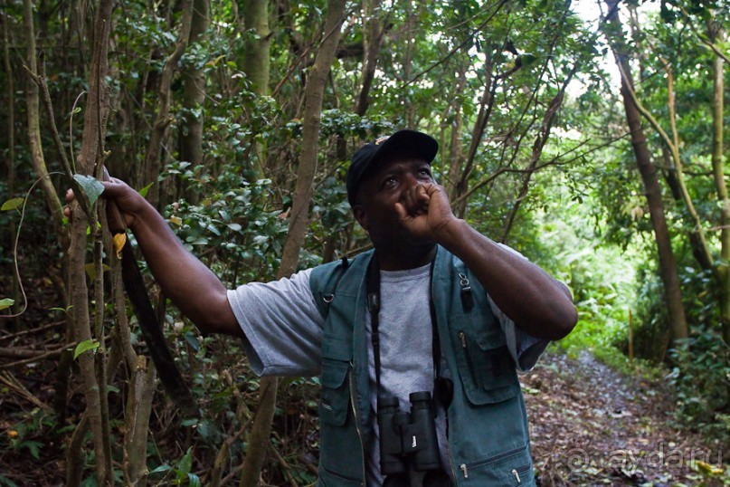 Монтсеррат. Montserrat, West Indies (4/4).