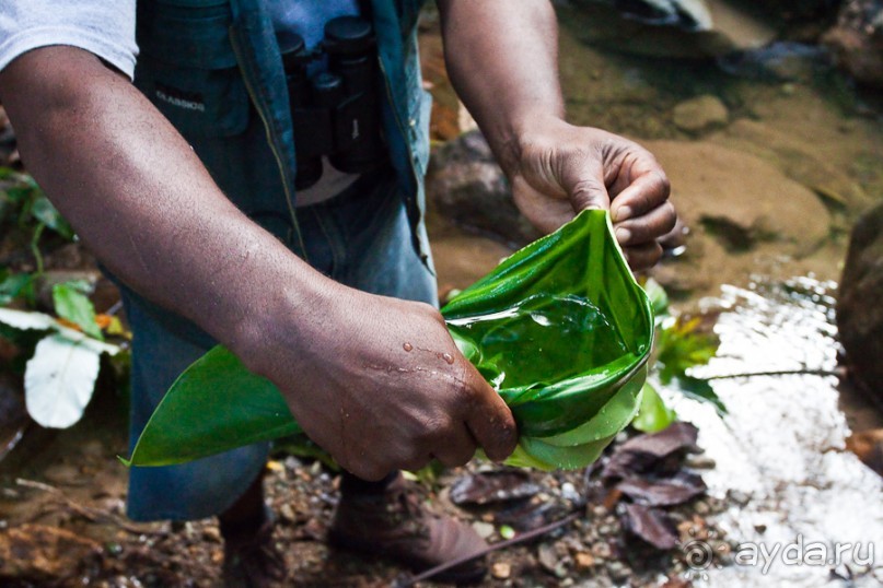 Монтсеррат. Montserrat, West Indies (4/4).