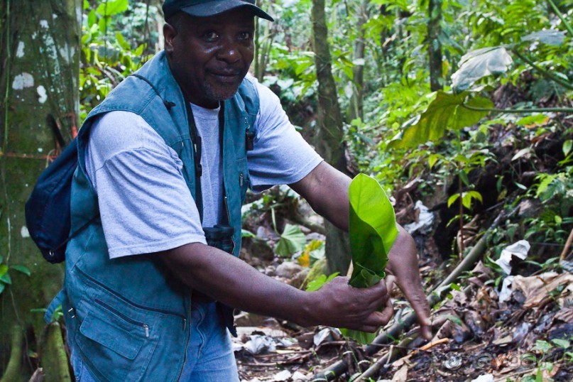 Монтсеррат. Montserrat, West Indies (4/4).