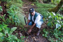 фото Монтсеррата