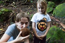 Монтсеррат. Montserrat, West Indies (4/4).