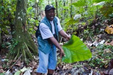 Монтсеррат. Montserrat, West Indies (4/4).